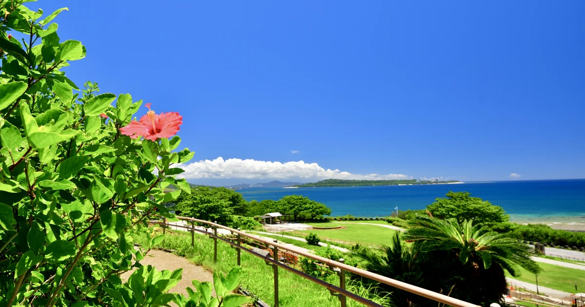 本部の海とハイビスカス（イメージ）